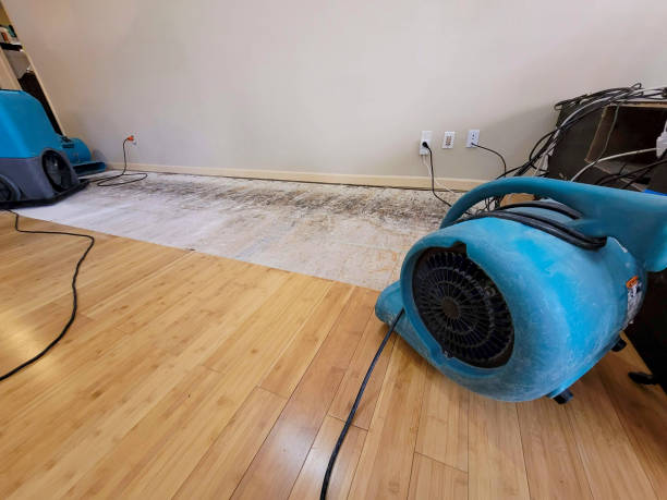 Professional Sewage Cleanup technician working in Hartline, WA